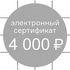 Сертификат в магазин бытовой техники на 4000 руб.