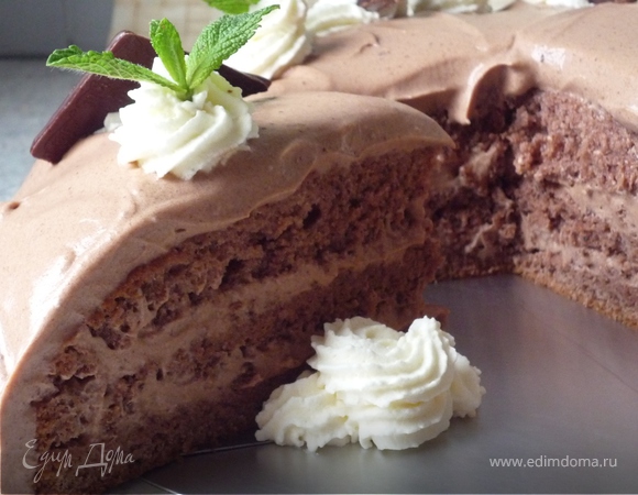 Лакомый шоколадно-мятный торт
