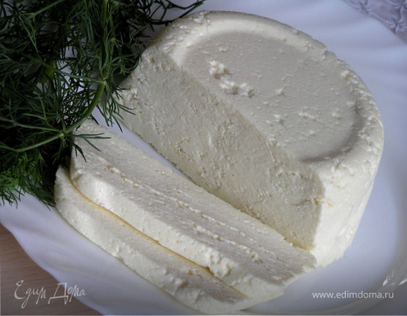 Адыгейский сыр в домашних условиях — простой рецепт с пошаговыми фото: