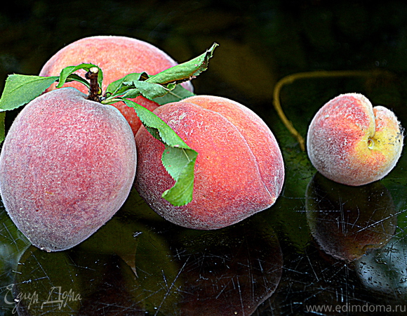 Персиковый хомут