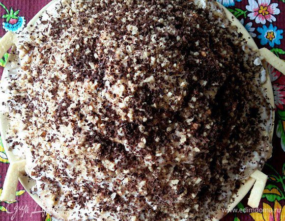 Торт Черепаха (16 рецептов с фото) - рецепты с фотографиями на Поварёапекс124.рф