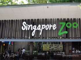 Моя Сингапурская сказка. Singapore ZOO.