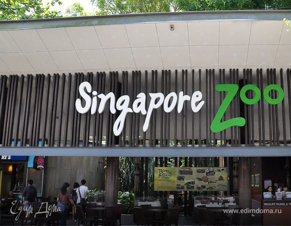 Моя Сингапурская сказка. Singapore ZOO.