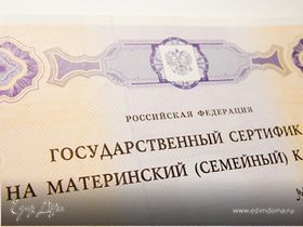 Кто из усыновителей сможет потратить материнский капитал на собственное дело Кто из усыновителей сможет потратить материнский капитал на собственное дело