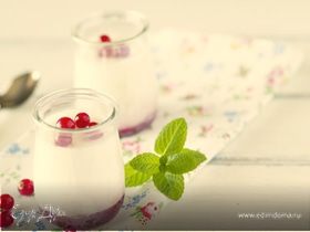 Йогуртница: плюсы и минусы в использовании