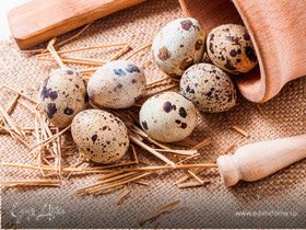 Перепелиные яйца: о пользе и вкусе