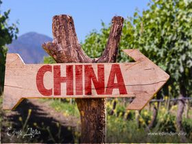 Карта вин Китая: необычные открытия