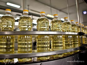 Производители растительного масла остановили закупку сырья