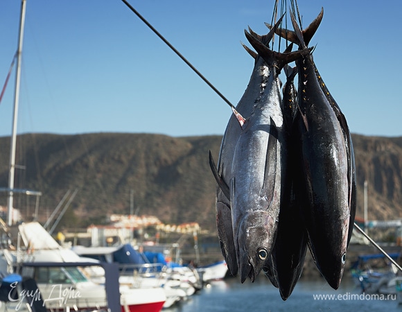 Импорт рыбы в Россию сокращается: рыболовы предупреждают о сложностях с замещением атлантического лосося и тунца