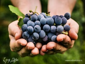 Почему виноград помогает согреться в холода: лайфхак от диетолога