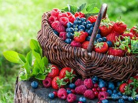 Эти три ягоды — самые лучшие антиоксиданты: доказывает врач