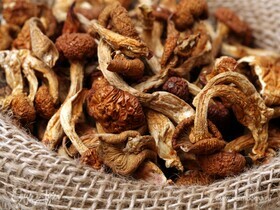 Как долго вымачивать сушеные грибы перед готовкой? Ответят микологи