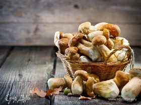 Какие грибы полезнее — сушеные или замороженные? Ответил эксперт