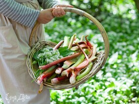 Названы самые полезные весенние продукты