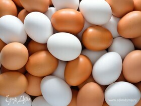 Какие яйца полезнее: коричневые или белые? Ответили эксперты