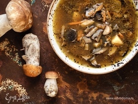 Из каких съедобных грибов нельзя варить суп? Ответила врач
