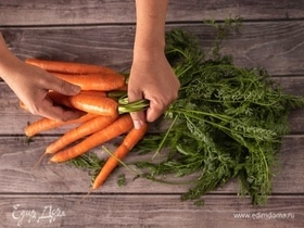 Диетолог назвала морковную ботву ценным продуктом: вот как можно ее использовать