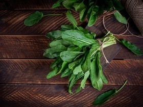 «Придаст особый вкус»: что приготовить из щавеля, кроме супа — и пироги, и даже кексы