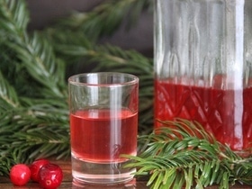 Зеленая иголка! Шеф-повар предлагает приготовить к Новому году 2 хвойных напитка — гости точно оценят Зеленая иголка! Шеф-повар предлагает приготовить к Новому году 2 хвойных напитка — гости точно оценят