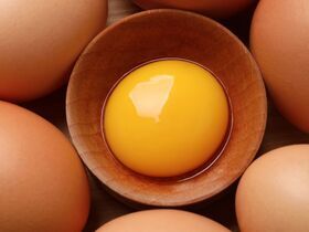 Оранжевые лучше или хуже? От чего зависит цвет желтка и действительно ли это имеет значение