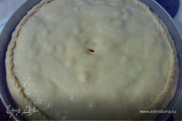 Малую часть теста также раскатать в пласт 5 мм и уложить поверх пирога.Края защипать.Смазать пирог взбитм желтком.