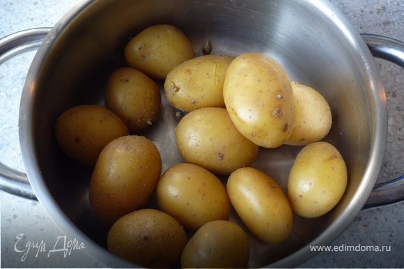 Картофель промыть и отварить (в мундире) в кипящей подсоленой воде в течение 20 мин. Слить воду, дать немного остыть и почистить. Затем картофель размять в пюре.