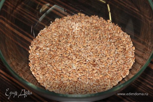 Зерна пшеницы положите в блендер и измельчите в муку.