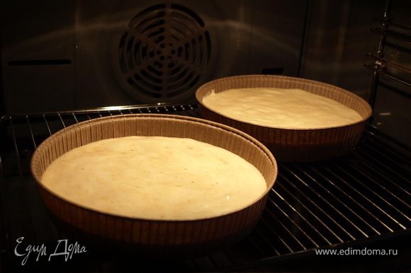 Выложить тесто в формы и запекать 25-30 минут, пока коржи не поднимутся и не начнут пружинить.