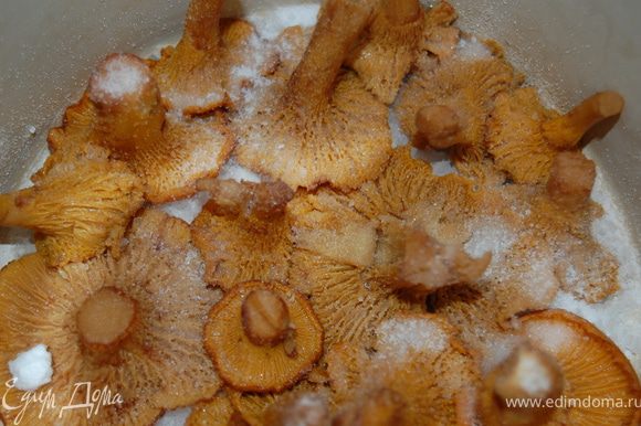 Уложите грибы в ёмкость (эмалированная кастрюля, глиняный горшок, стеклянная посуда, деревянная бочка) шляпками вниз, дно предварительно посыпьте солью. Сверху лисички снова посыпьте солью. Далее: еще слой грибов и слой соли. Соль берите из расчета 50 г на 1 кг грибов. На грибы положите дольки чеснока. Поставьте сверху гнёт.