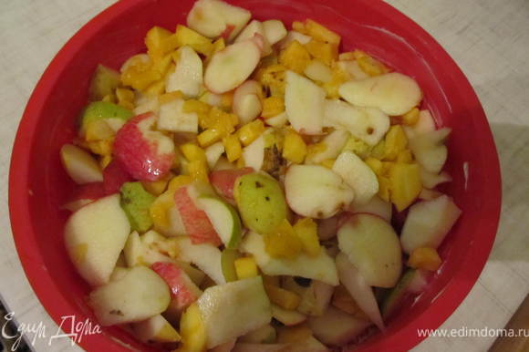 Форму смазать сливочным маслом, посыпать сухарями и выложить перемешаные фрукты.