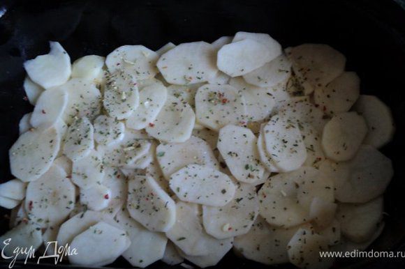 Глубокий сотейник смазать растительным маслом, выложить слой картофеля толщиной 1.5см, посолить, посыпать прованскими травками.