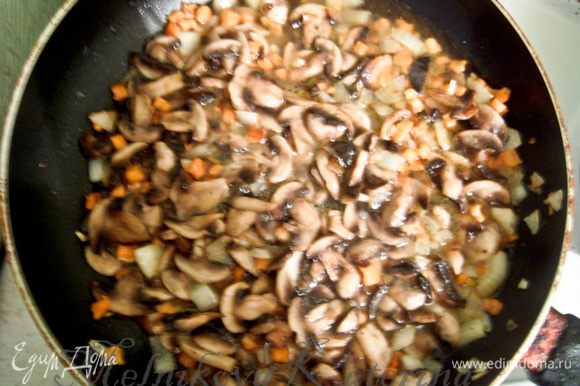 Вернуть грибы в сковороду, добавить воду. Также добавить соль, специи. Томить грибы 10 минут без крышки.
