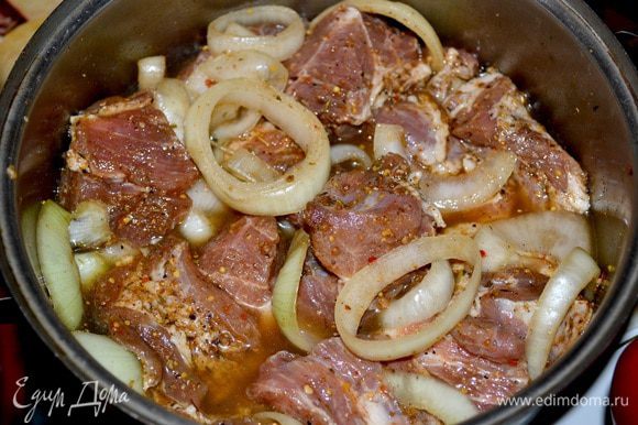 Мясо свинины нарезаем на кусочки,лук кольцами,посыпаем специями для шашлыка,оставляю на 3часа,затем добавляю пива на 30мин.