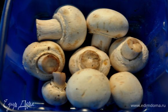 Свежие грибы очистить,промыть и отварить в подсоленной воде до полуготовности,обсушить и крупно нарезать.Мелко нашинковать лук.