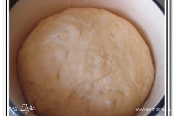 Накрыть тесто полотенцем и поставить в теплое место на 1,5-2 часа. Сейчас жарко, поэтому тесто подходитбыстро, где-то за 40 минут.