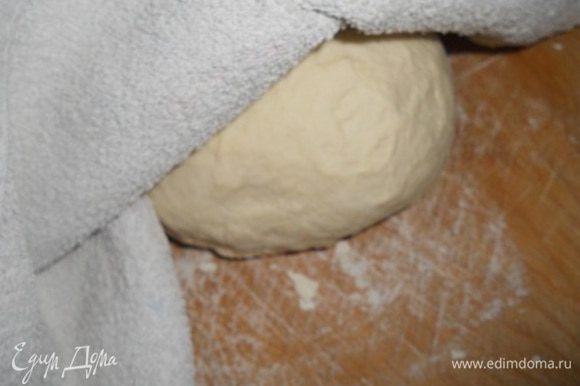 Месим тесто еще раз в течении 5 мин. пока тесто не станет мягким и эластичным, кладем тесто на доску, припыленную мукой и накрываем полотенцем, оставляем так на 1 час