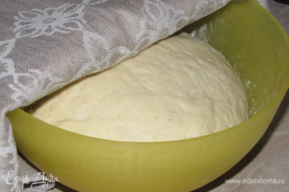 Перемешивая, постепенно всыпать муку и замесить мягкое, не липнущее к рукам тесто. Положить тесто в чистую миску, накрыть пленкой и дать подняться в теплом месте, 1 час.