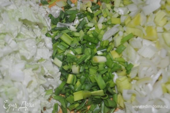 Китайскую капусту, лук-порей, зелёный лук, зубчики чеснока мелко нарезать.