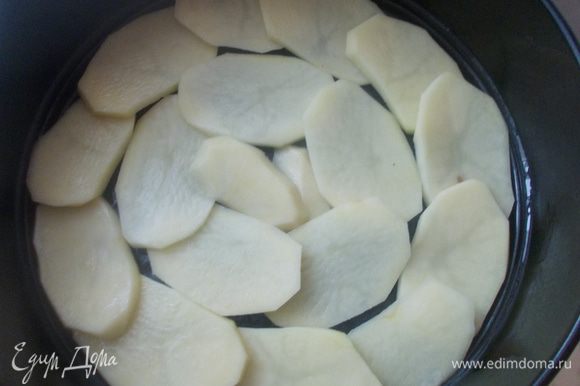 В форму смазанную маслом выложить картофель, порезанный тонкими кольцами. Немного посолить.
