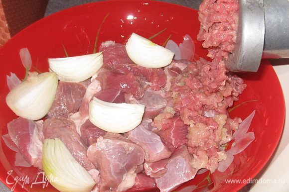 Мясо помыть и нарезать небольшими кусочками. Лук разрезать на несколько частей. Перекрутить на мясорубке.