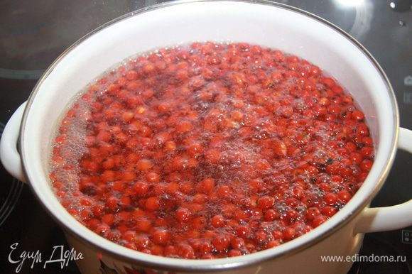 Проварить ягоды рябины 15 минут. Воду можно использовать как основу для компота.