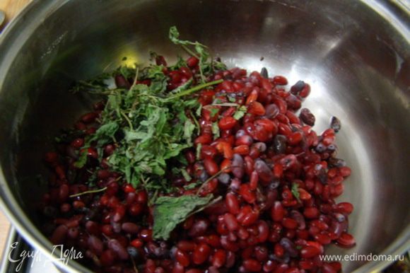 Нужно приготовить начинку из барбариса: помыть перебранные ягоды барбариса, осушить и добавить 2 щепотки высушенных листьев мяты, сок и сахар, варить около 20 минут.