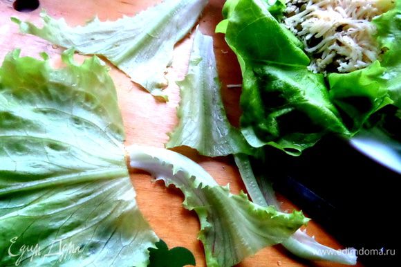 Обрезаем листья салата кухонными ножницами.