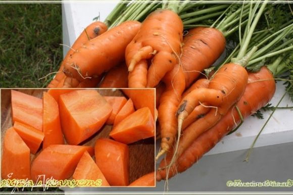 Морковку почистить и покрошить. Вот на такие кусочки.