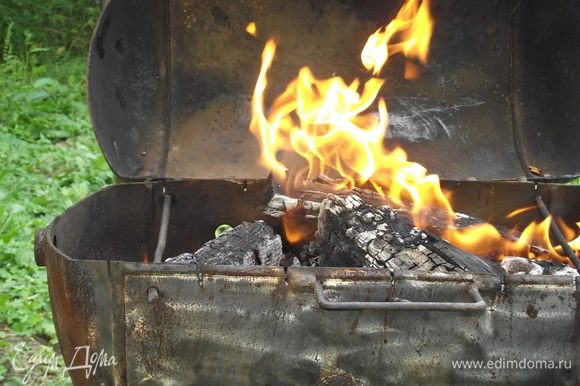 Готовим угли. Для приготовления шашлыка лучше всего использовать березу, липу, дуб и все породы фруктовых деревьев (яблоню, грушу, сливу, вишню, черешню, абрикос, персик и другие), виноградную лозу.