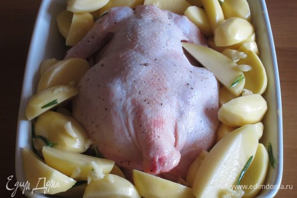 Выложить курицу грудкой вниз на противень ,смазанный оливковым маслом,выложить картофель и запекать в разогретой до 195 ° С 30 минут.Затем курицу перевернуть и запекать 30 минут.Увеличить температуру до 220 ° с и запекать ещё 20 минут.
