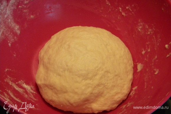 Замешиваем тесто, в теплое молоко кладем дрожжи и сахар и перемешиваем, потом просеянную муку постепенно вводим и вымешиваем минут 15. Оставляем на 30 мин.
