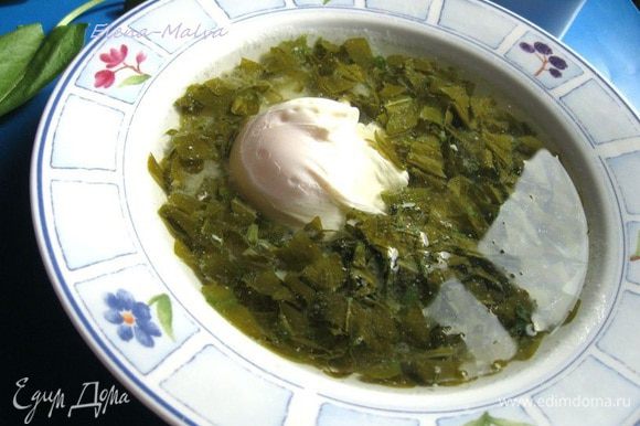 Дать остыть. Добавить в тарелку яйцо пашот. Сервировать сметаной или натуральным йогуртом, порезанной зеленью. Приятного аппетита!