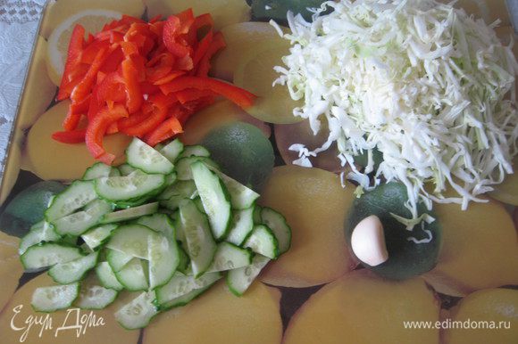 Приготовить овощи: мелко нашинковать капусту, огурец нарезать полукольцами, перец тонкими полосками.