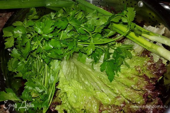Готовим салат. Я взяла лолло россо, он красивый и очень полезный. Моем салатные листья, зеленый лук и петрушку.